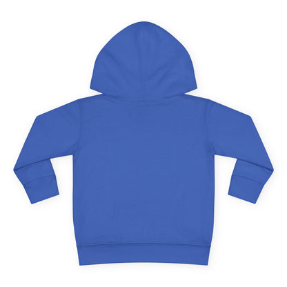 Mini Muslim Toddler Hoodie