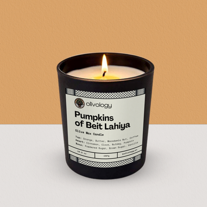 Pumpkins of Beit Lahiya — Handmade Olive Wax Candle